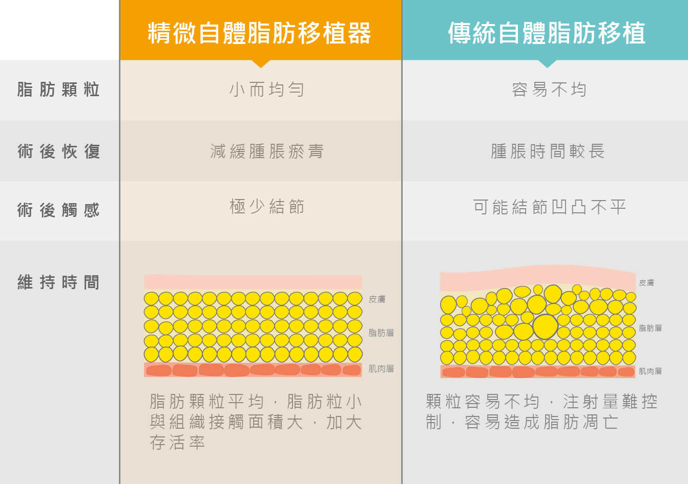 大家常聽到的精微自體脂肪補脂器/補脂槍(仿單上為"呈汝" 軟組織填充物手動分配器械,衛署醫器製壹字第003261號),為自體脂肪移植手術,提供一個嶄新、全方位的解決方案。在精微自體脂肪移植器問世之前,傳統捕脂手術都是靠著醫師的手感進行,在擁有阻力的人體組織中施打,施打脂肪不均、難以控制都讓脂肪移植的存活率降低。